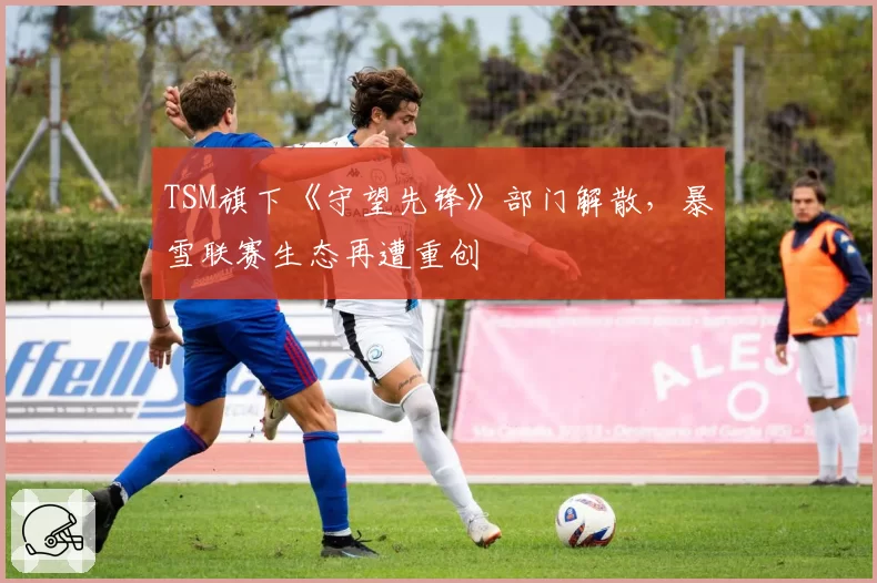 TSM旗下《守望先锋》部门解散，暴雪联赛生态再遭重创