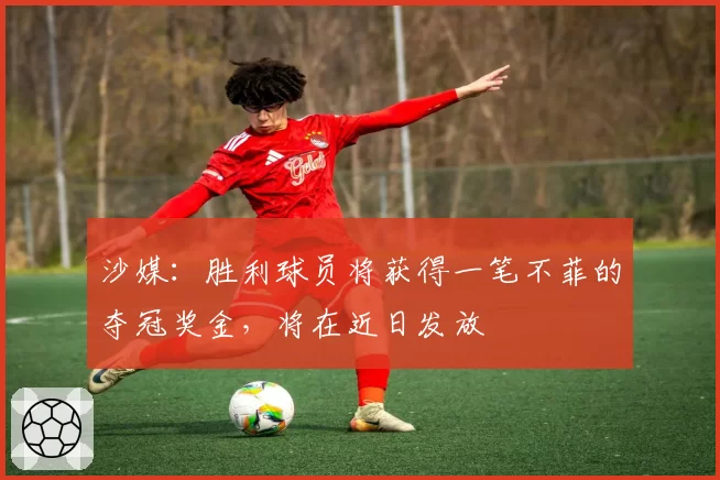 沙媒：胜利球员将获得一笔不菲的夺冠奖金，将在近日发放
