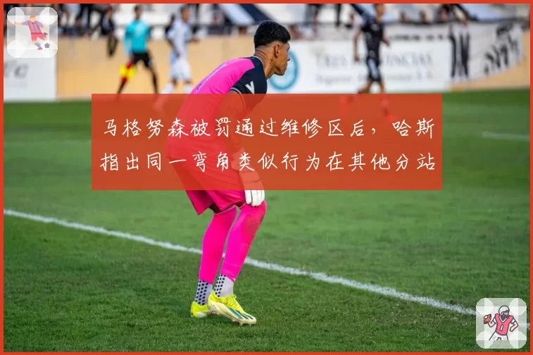 马格努森被罚通过维修区后，哈斯指出同一弯角类似行为在其他分站未受惩罚
