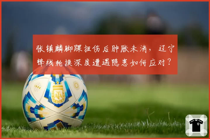 张镇麟脚踝扭伤后肿胀未消，辽宁锋线轮换深度遭遇隐患如何应对？