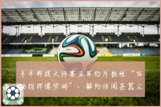 辛辛那提大师赛亚军怒斥教练“临场指挥像梦游”，解约传闻甚嚣尘上
