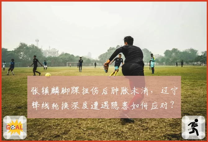 张镇麟脚踝扭伤后肿胀未消，辽宁锋线轮换深度遭遇隐患如何应对？